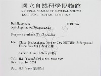 登錄號:F0017329藏品圖，第2張