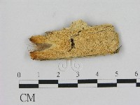 登錄號:F0017329藏品圖，第1張