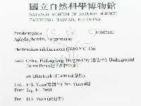 登錄號:F0017330藏品圖，第3張