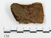 登錄號:F0017330藏品圖，第4張