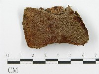 登錄號:F0017330藏品圖，第5張