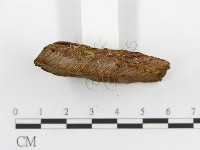 登錄號:F0017330藏品圖，第7張