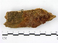 登錄號:F0017331藏品圖，第1張