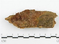 登錄號:F0017331藏品圖，第4張