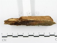 登錄號:F0017331藏品圖，第5張