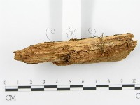登錄號:F0017331藏品圖，第6張