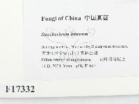登錄號:F0017332藏品圖，第2張
