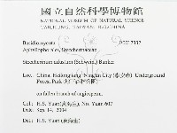 登錄號:F0017332藏品圖，第3張