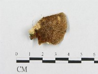 登錄號:F0017332藏品圖，第4張