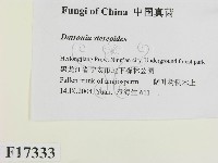 登錄號:F0017333藏品圖，第2張