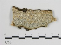 登錄號:F0017333藏品圖，第1張