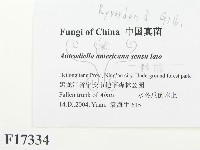 登錄號:F0017334藏品圖，第2張