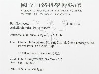 登錄號:F0017334藏品圖，第3張