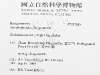 登錄號:F0017335藏品圖，第3張