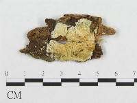 登錄號:F0017335藏品圖，第1張