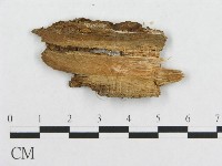登錄號:F0017335藏品圖，第4張