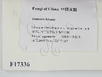 登錄號:F0017336藏品圖，第2張
