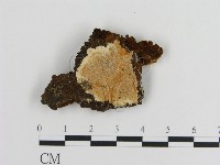 登錄號:F0017337藏品圖，第1張