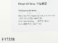 登錄號:F0017338藏品圖，第2張