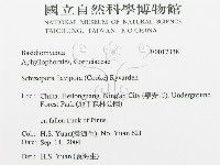 登錄號:F0017338藏品圖，第3張
