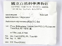 登錄號:F0017339藏品圖，第2張