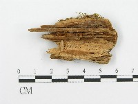 登錄號:F0017339藏品圖，第5張