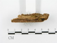 登錄號:F0017339藏品圖，第6張