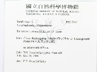 煙管菌藏品圖，第3張