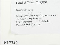 登錄號:F0017342藏品圖，第2張
