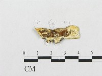 登錄號:F0017342藏品圖，第1張