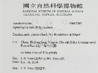 登錄號:F0017343藏品圖，第3張