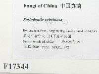 登錄號:F0017344藏品圖，第2張