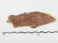 登錄號:F0017344藏品圖，第1張