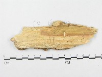 登錄號:F0017344藏品圖，第4張