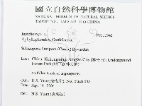 登錄號:F0017345藏品圖，第3張