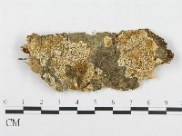 登錄號:F0017345藏品圖，第4張