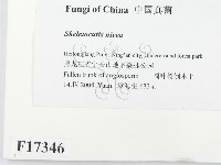 登錄號:F0017346藏品圖，第2張