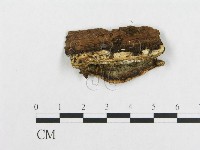 登錄號:F0017346藏品圖，第5張