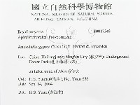 登錄號:F0017348藏品圖，第3張