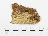 登錄號:F0017348藏品圖，第4張
