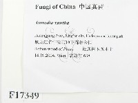 登錄號:F0017349藏品圖，第2張