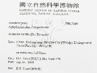 登錄號:F0017349藏品圖，第3張
