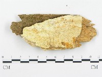 登錄號:F0017349藏品圖，第1張
