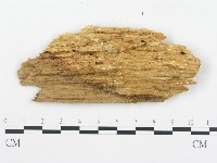 登錄號:F0017349藏品圖，第4張