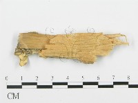 登錄號:F0017350藏品圖，第4張