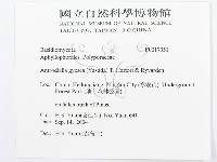 登錄號:F0017351藏品圖，第3張