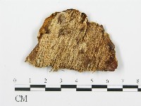 登錄號:F0017351藏品圖，第4張