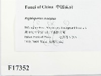 登錄號:F0017352藏品圖，第2張