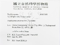 登錄號:F0017352藏品圖，第3張