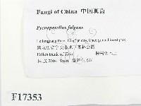 登錄號:F0017353藏品圖，第2張